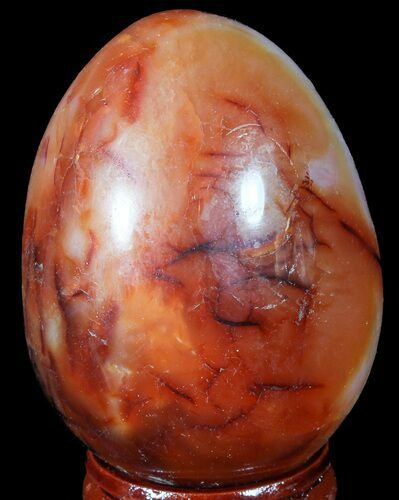 Colorful Carnelian Agate Egg #55545